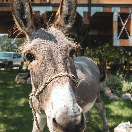 Guarda Che Luna Alojamento de Acomodação e Pequeno-almoço 4*